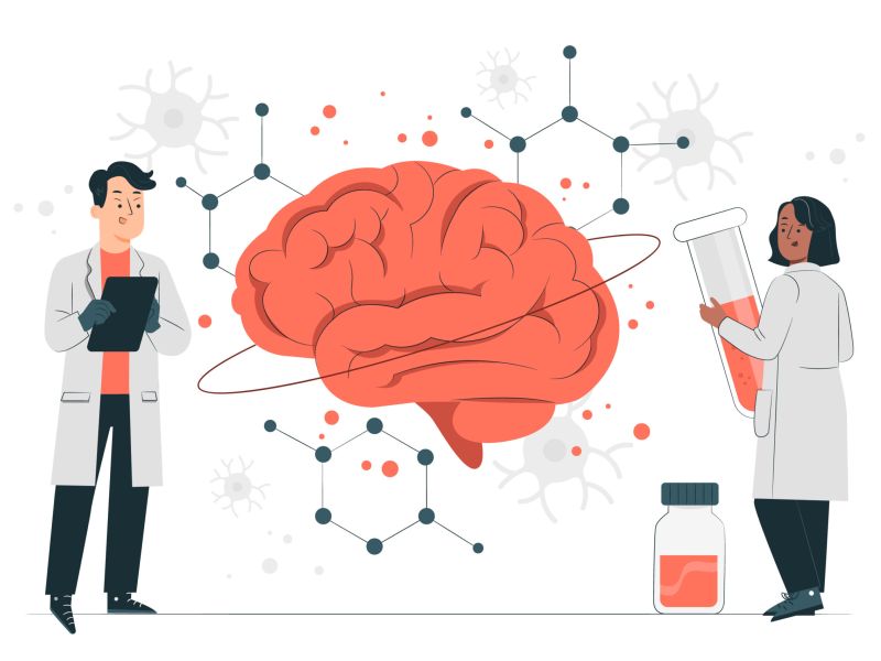 La comunicación entre el sistema nervioso central y el intestino: Cómo contribuye a nuestra salud mental